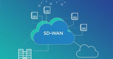 What Does SD-WAN Entail For Businesses